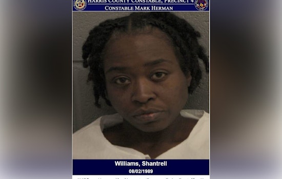 Harris County Woman Accused of Assault on Peace Officers Following Disturbance