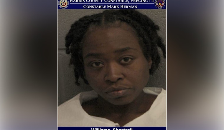 Harris County Woman Accused of Assault on Peace Officers Following Disturbance