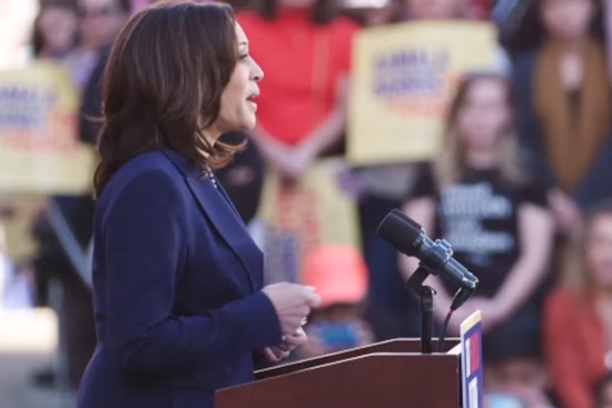 Hawaii Democratic Leaders Unite in Endorsement of Kamala Harris for President Following Biden's Exit
