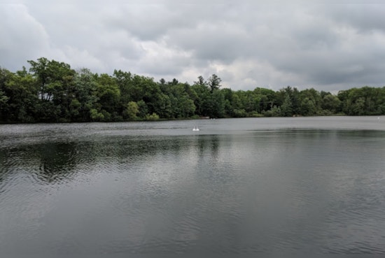 Health Advisory in Manistee County, High E. coli Levels Detected in Crystal Lake