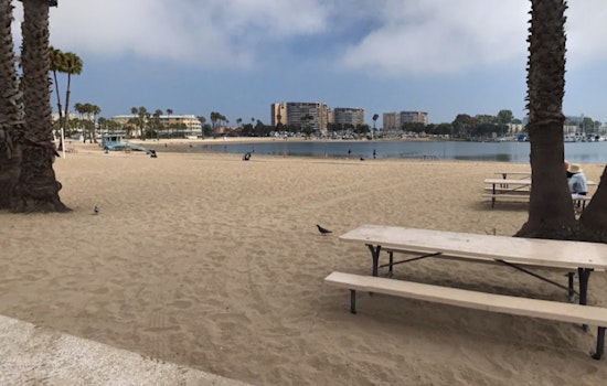 Health Advisory Issued for Numerous L.A. County Beaches Due to Elevated Bacterial Levels