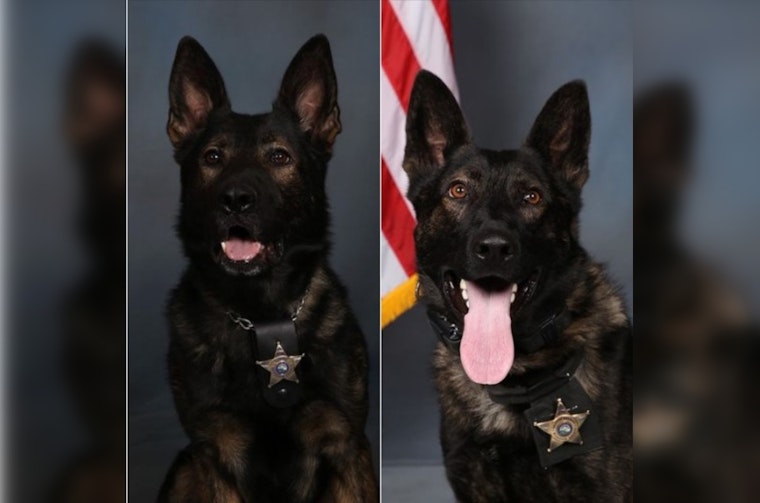 Hennepin County Sheriff's Office K9 Units and Deputies Recover Stolen Vehicle and "Ghost Gun" in Juvenile Auto Theft Bust