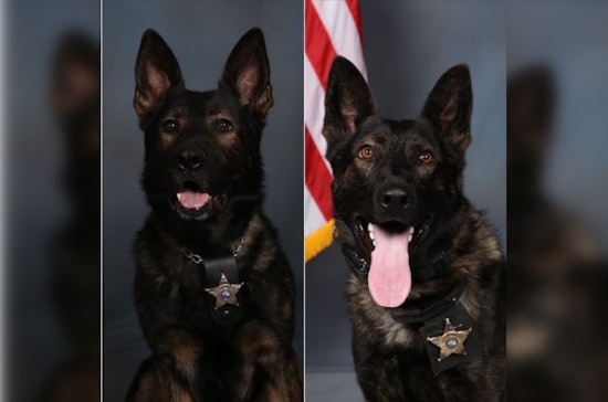 Hennepin County Sheriff's Office K9 Units and Deputies Recover Stolen Vehicle and "Ghost Gun" in Juvenile Auto Theft Bust