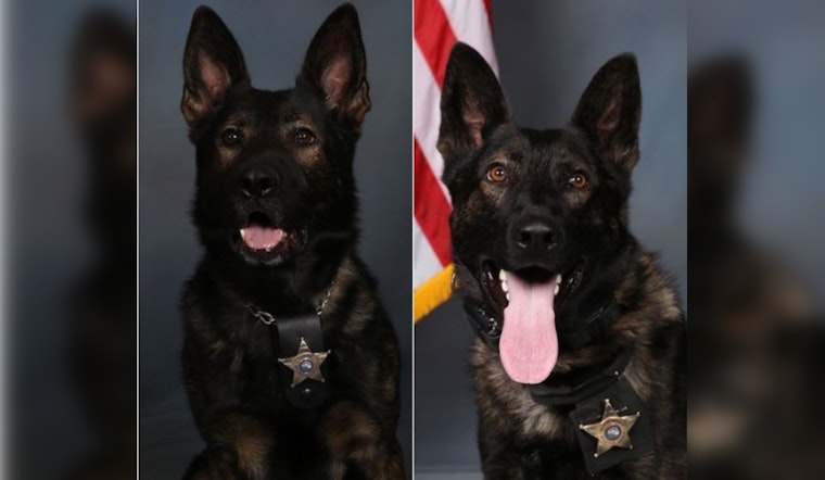 Hennepin County Sheriff's Office K9 Units and Deputies Recover Stolen Vehicle and "Ghost Gun" in Juvenile Auto Theft Bust