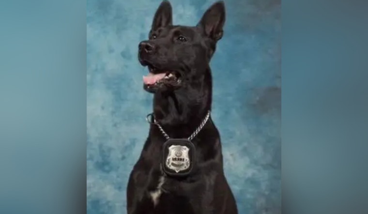 Henry County Police Mourn the Loss of Cherished K9 Officer Leroy