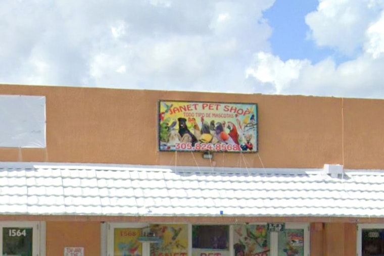 Hialeah Residents on Edge as Thief Targets Pet Birds for Daring Daylight Robbery