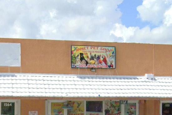 Hialeah Residents on Edge as Thief Targets Pet Birds for Daring Daylight Robbery