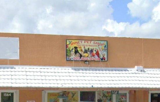 Hialeah Residents on Edge as Thief Targets Pet Birds for Daring Daylight Robbery