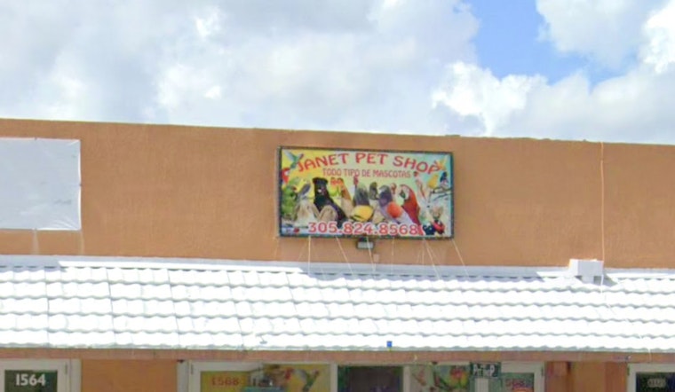 Hialeah Residents on Edge as Thief Targets Pet Birds for Daring Daylight Robbery