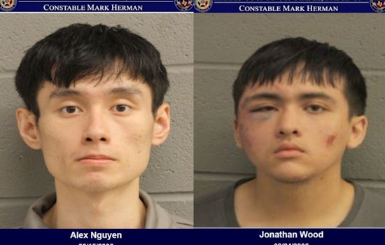 High-Speed Chase in Harris County Ends in Crash and Arrests