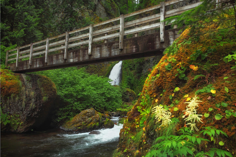 Hiker Rescued After Being Struck by Falling Rock on Wahclella Falls Trail Near Bonneville Dam