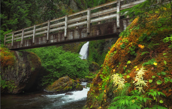 Hiker Rescued After Being Struck by Falling Rock on Wahclella Falls Trail Near Bonneville Dam