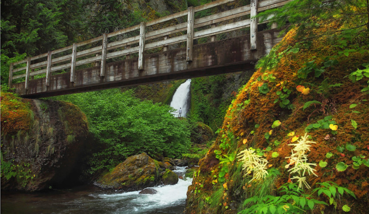 Hiker Rescued After Being Struck by Falling Rock on Wahclella Falls Trail Near Bonneville Dam