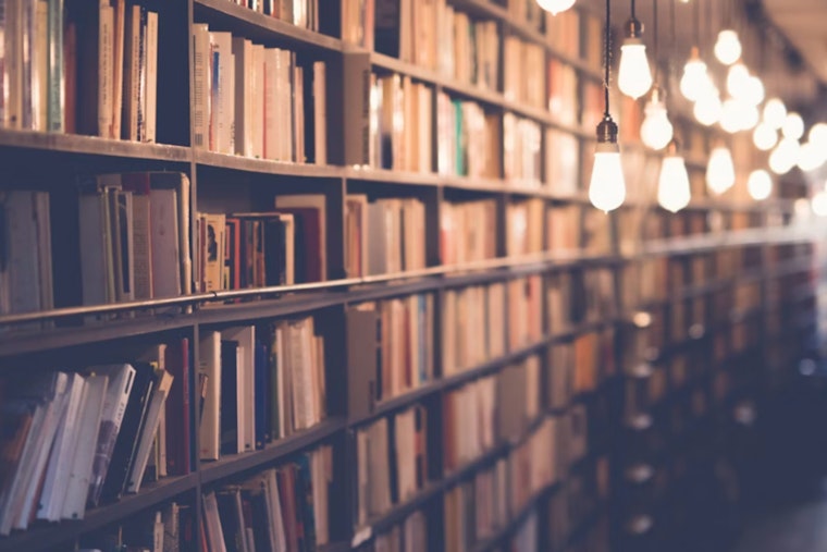 Hillsborough County Public Library Invites Patrons on Free Oceanic and Space-Themed Adventures This July
