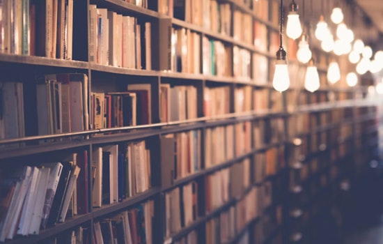Hillsborough County Public Library Invites Patrons on Free Oceanic and Space-Themed Adventures This July