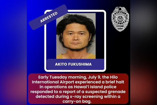 Hilo International Airport Evacuated as TSA Discovers Two Grenades in Passenger's Luggage, Leading to Arrest of Japanese National
