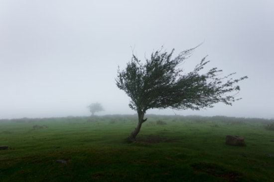 Honolulu Braces for Strong Trade Winds, NWS Urges Caution Through Friday