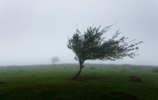 Honolulu Braces for Strong Trade Winds, NWS Urges Caution Through Friday
