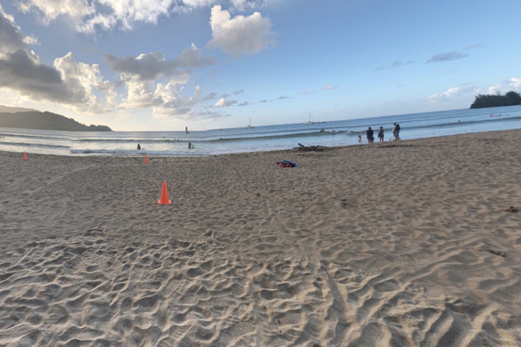 Honolulu Considers Drone Technology for Enhanced Shark Surveillance Amid Recent Sightings