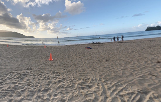 Honolulu Considers Drone Technology for Enhanced Shark Surveillance Amid Recent Sightings