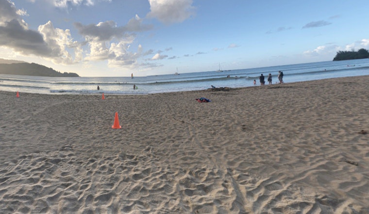 Honolulu Considers Drone Technology for Enhanced Shark Surveillance Amid Recent Sightings