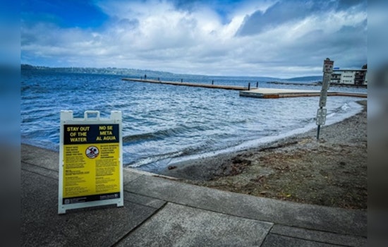 Houghton Beach Closure Extended in Kirkland Due to High Bacteria Levels