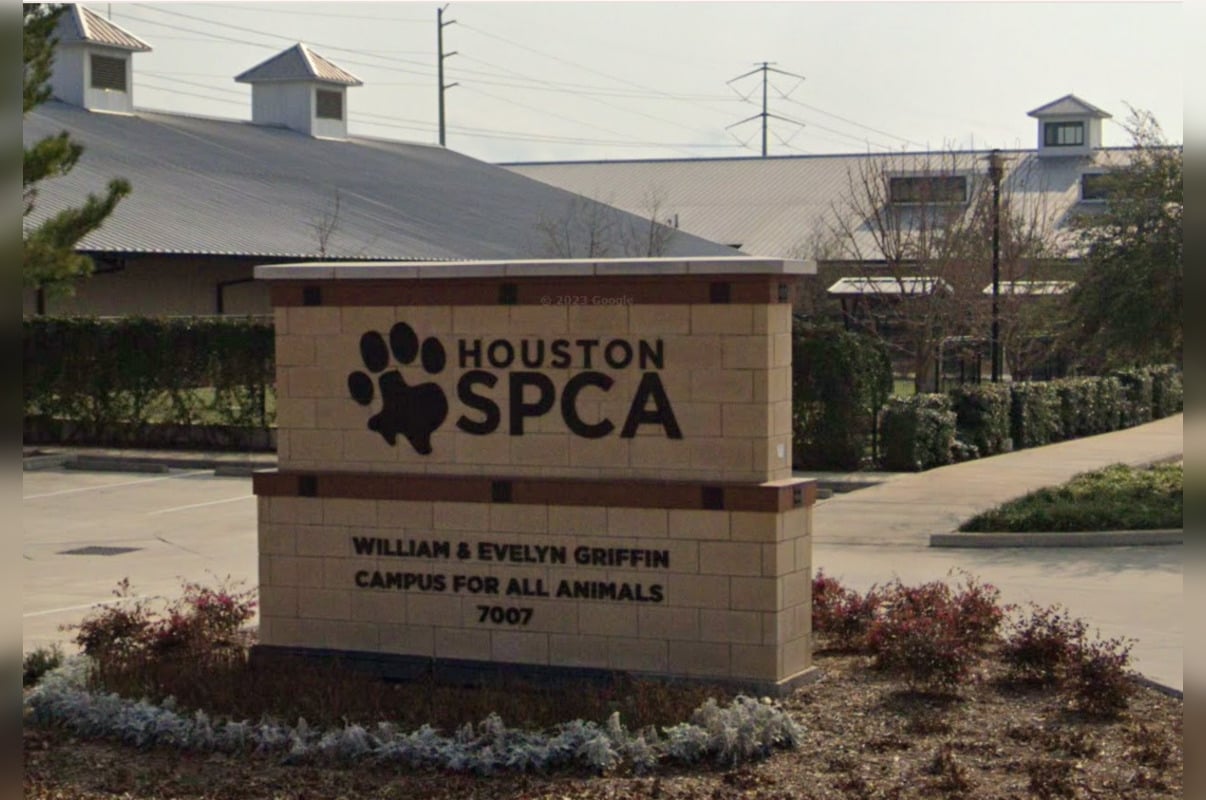 Houston And Austin Wildlife Centers Become Sanctuaries For Over 1,000