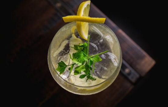 Houston Entrepreneurs Launch Queen Bee Distilling, Introducing Diet-Sensitive Osmia Vodka