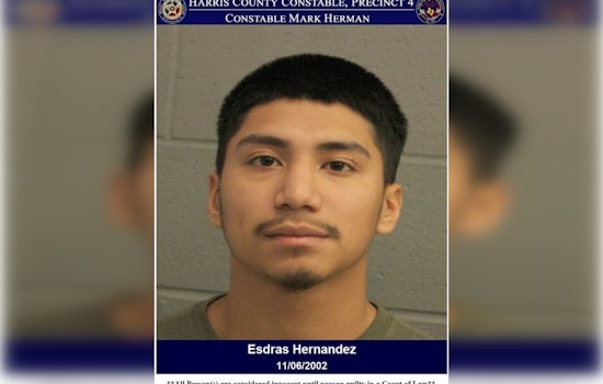 Houston Man Out on Bond for Aggravated Assault Leads Constables on North Freeway Chase, Faces New Eluding Charge