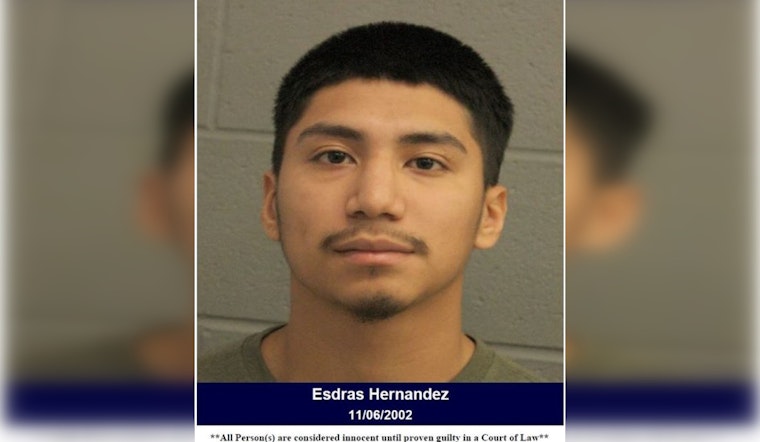 Houston Man Out on Bond for Aggravated Assault Leads Constables on North Freeway Chase, Faces New Eluding Charge