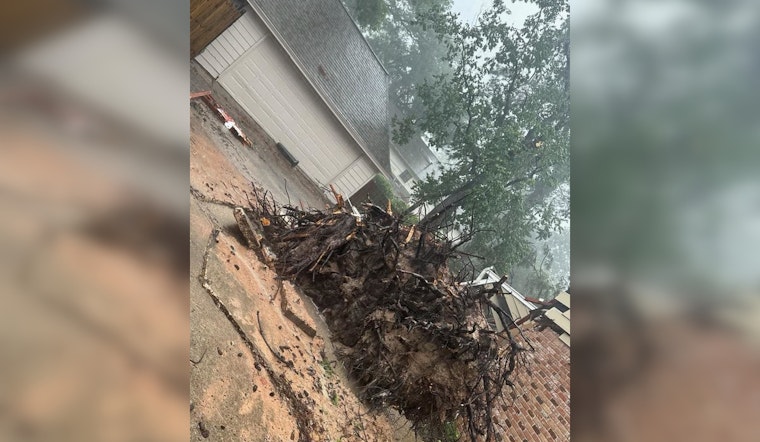 Hurricane Beryl's Lethal Impact: Man Killed by Fallen Tree in Humble, Harris County Amid Ongoing Tragedy