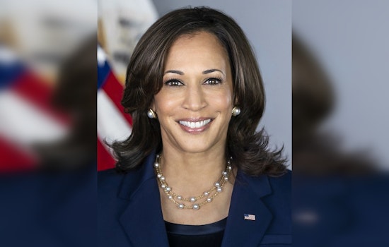 Illinois Democrats Rally Behind Kamala Harris' Historic Presidential Bid