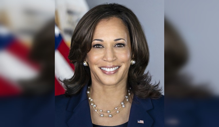 Illinois Democrats Rally Behind Kamala Harris' Historic Presidential Bid