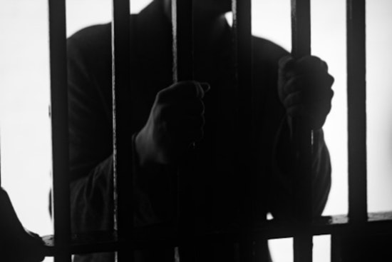 Illinois Man Pleads Guilty to Assaulting Officers During January 6 Capitol Breach