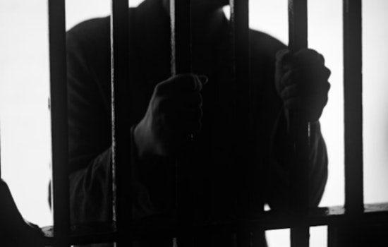 Illinois Man Pleads Guilty to Assaulting Officers During January 6 Capitol Breach