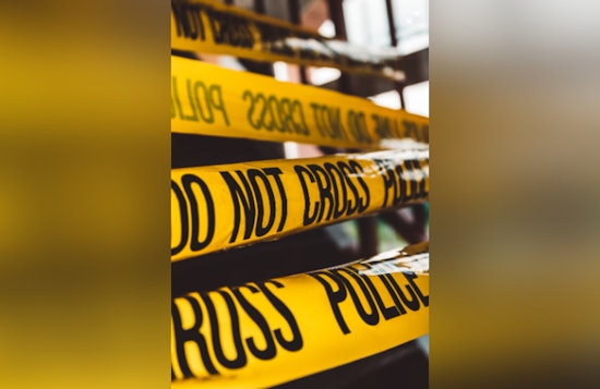 IMPD Investigates Homicide After Woman's Remains Found in Southeast Indianapolis Woods