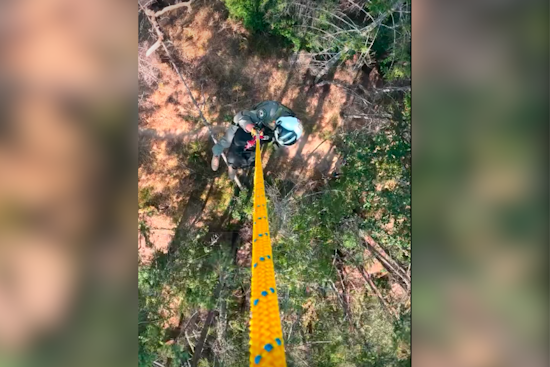 Injured Hiker Rescued by Helicopter in Sonoma's Armstrong Woods After Precise Operation by Emergency Crews