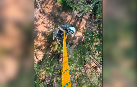 Injured Hiker Rescued by Helicopter in Sonoma's Armstrong Woods After Precise Operation by Emergency Crews