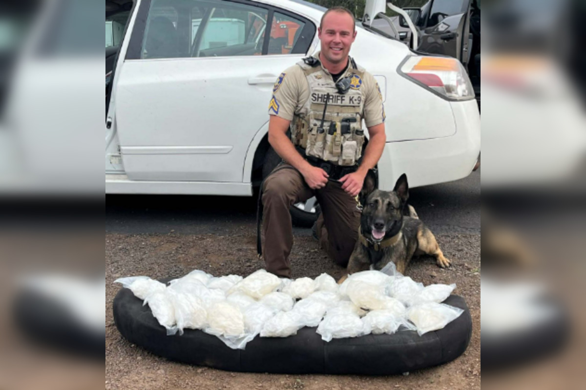K-9 Officer Dex Sniffs Out 30 Pounds of Meth on Interstate 40 in