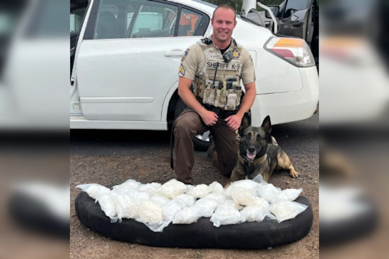 K-9 Officer Dex Sniffs Out 30 Pounds of Meth on Interstate 40 in Flagstaff