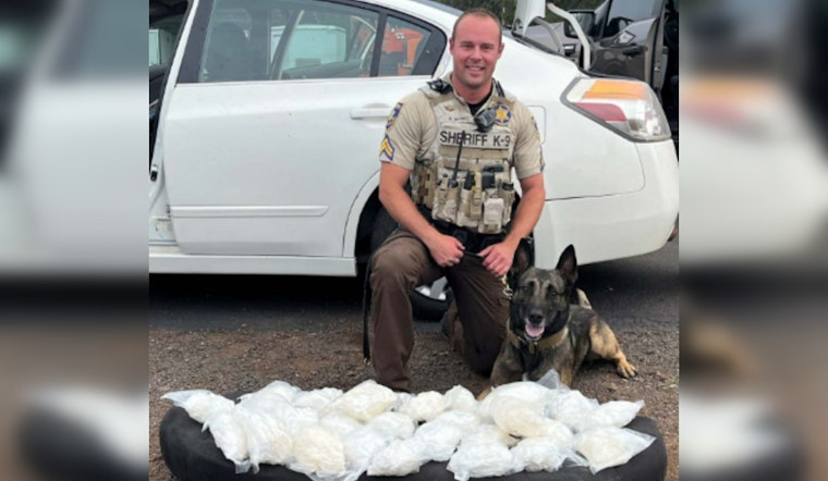 K-9 Officer Dex Sniffs Out 30 Pounds of Meth on Interstate 40 in Flagstaff