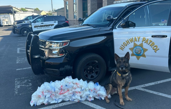 K9 "Champ" Assists in Seizing $250,000 Worth of Meth on California Highway in Napa County