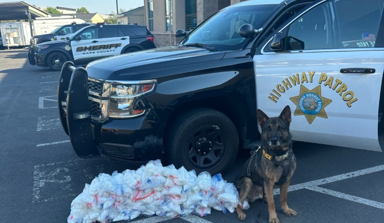 K9 "Champ" Assists in Seizing $250,000 Worth of Meth on California Highway in Napa County