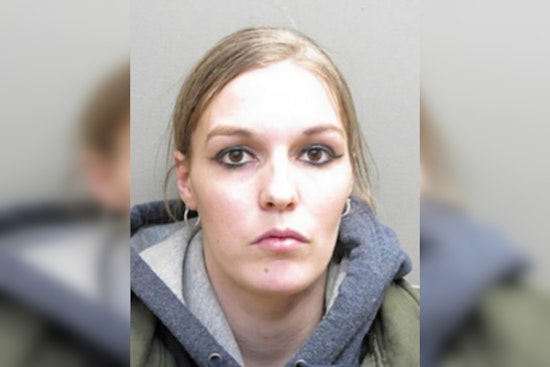 Kalamazoo Man Charged with Open Murder in Case of Missing Mother of Eight