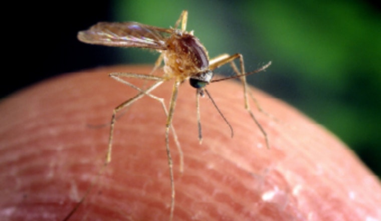 Kent County Health Officials Detect Jamestown Canyon Virus in Local Mosquitoes