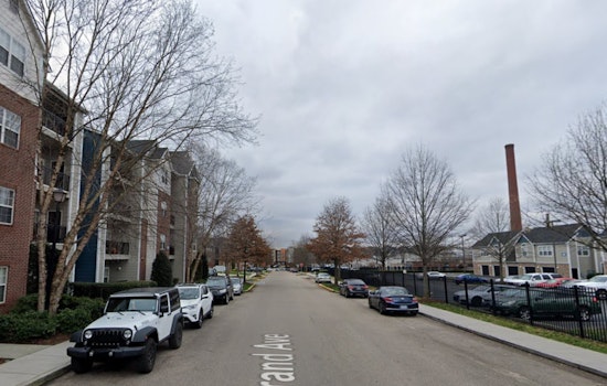 Knoxville's Fort Sanders Neighborhood Braces for Summer Cleanup; Residents Urged to Relocate Cars