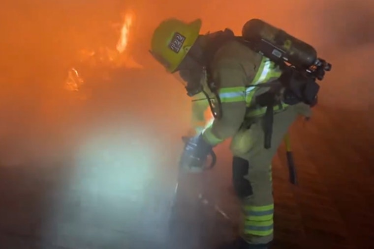 Laguna Woods Home Engulfed in Flames, Family Evacuated but Dog Perishes in Fire