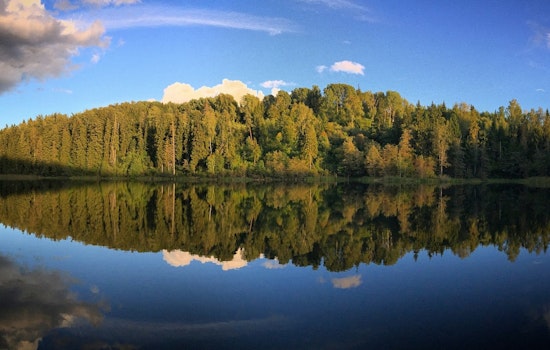 Lake County Forest Preserves to Expand with 18 Acre Acquisition Near Fort Sheridan
