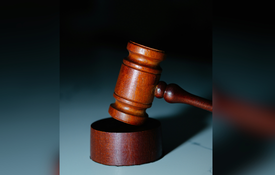 Lake County Woman Accused of Multi-Year Bank Fraud Conspiracy, Faces 30 Years