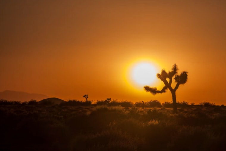 Las Vegas and Mojave Desert on High Alert as Intense Heat Wave Expected to Shatter Records